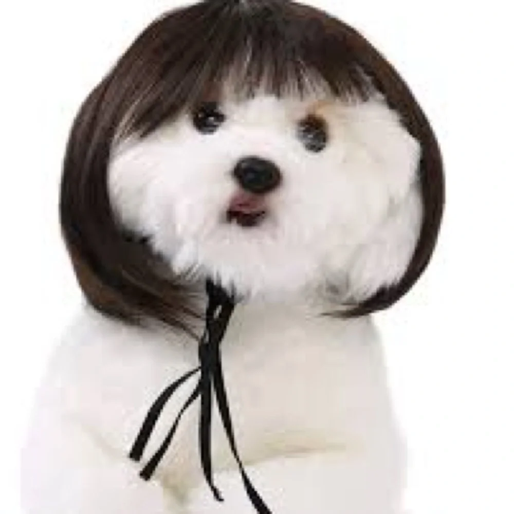 Kitty Wig Brown Bob New in Package Ooh La La!